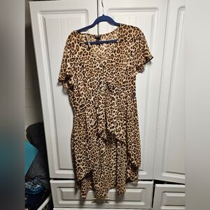 Torrid Leopard Print Women's Dress